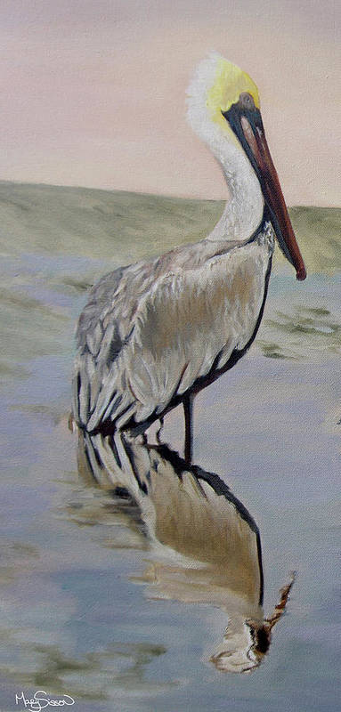 Pelican. Coastal Pelican Painting Print. Large Pelican Painting - MarySissonArt